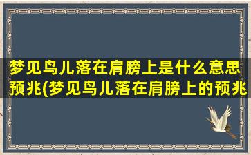 梦见鸟儿落在肩膀上是什么意思 预兆(梦见鸟儿落在肩膀上的预兆及其解析，了解梦境中鸟儿落在肩膀上的含义)